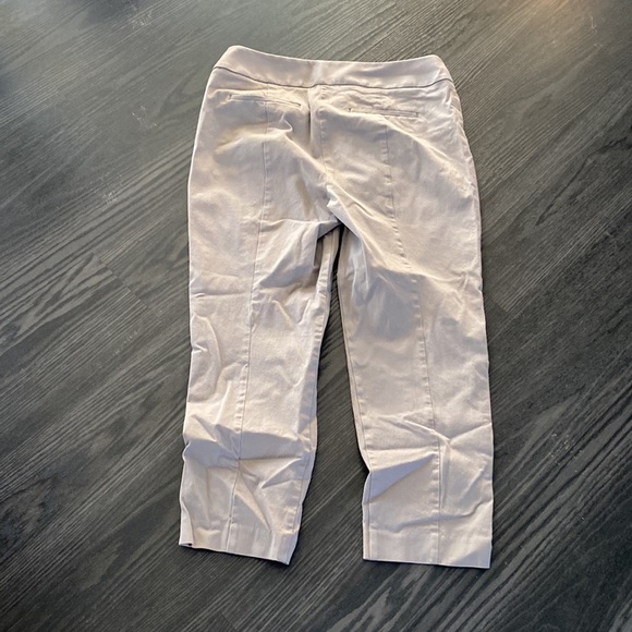 🍍ANN TAYLOR LOFT🍍SIZE 10🍍ankle🍍C-1 - Picture 3 of 3